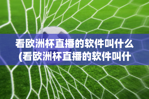 看欧洲杯直播的软件叫什么(看欧洲杯直播的软件叫什么来着)