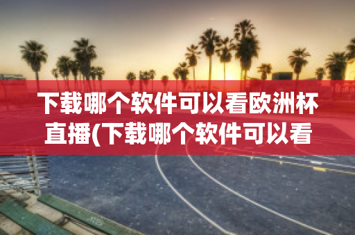 下载哪个软件可以看欧洲杯直播(下载哪个软件可以看欧洲杯直播的)