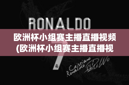 欧洲杯小组赛主播直播视频(欧洲杯小组赛主播直播视频在线观看)