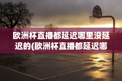 欧洲杯直播都延迟哪里没延迟的(欧洲杯直播都延迟哪里没延迟的时间)