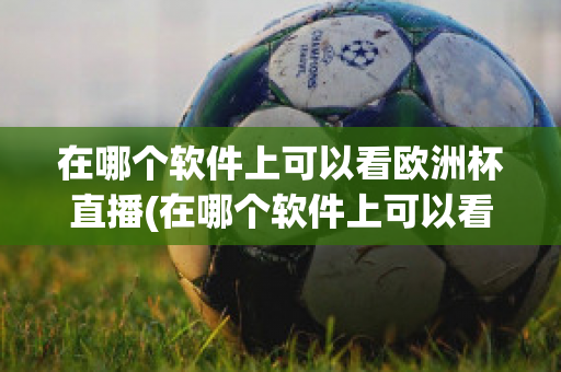 在哪个软件上可以看欧洲杯直播(在哪个软件上可以看欧洲杯直播视频)