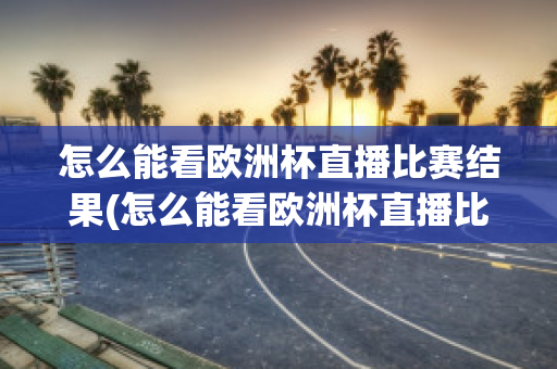 怎么能看欧洲杯直播比赛结果(怎么能看欧洲杯直播比赛结果视频)