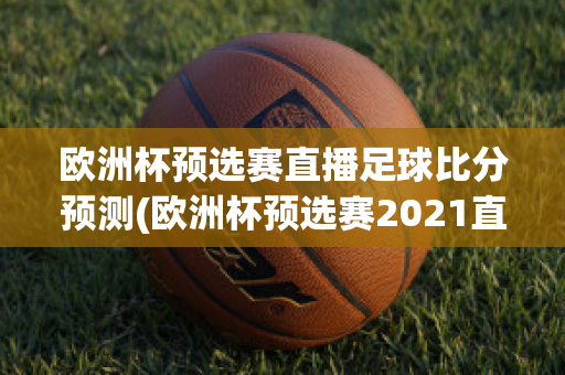 欧洲杯预选赛直播足球比分预测(欧洲杯预选赛2021直播)