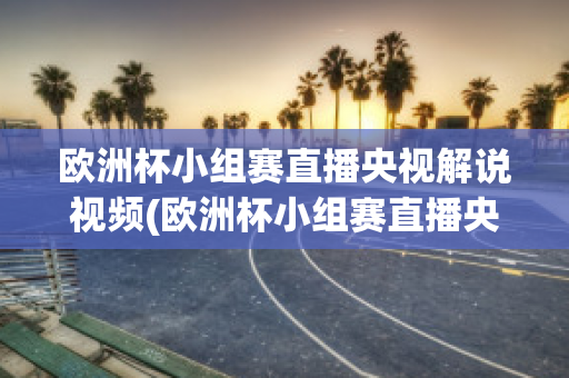 欧洲杯小组赛直播央视解说视频(欧洲杯小组赛直播央视解说视频回放)