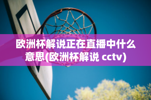 欧洲杯解说正在直播中什么意思(欧洲杯解说 cctv)