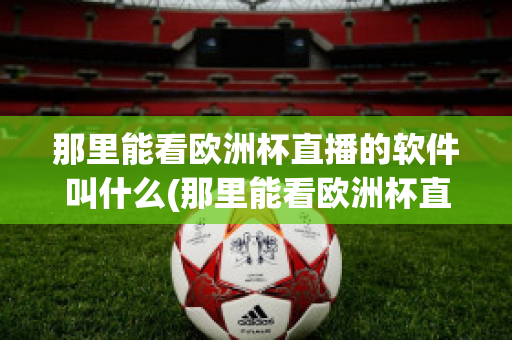 那里能看欧洲杯直播的软件叫什么(那里能看欧洲杯直播的软件叫什么来着)