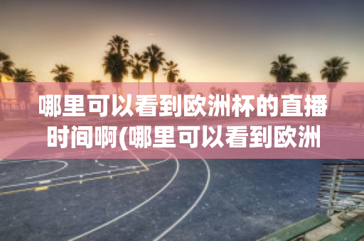 哪里可以看到欧洲杯的直播时间啊(哪里可以看到欧洲杯的直播时间啊英文)