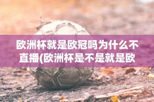 欧洲杯就是欧冠吗为什么不直播(欧洲杯是不是就是欧冠)