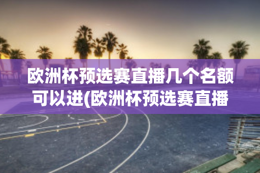 欧洲杯预选赛直播几个名额可以进(欧洲杯预选赛直播几个名额可以进国家队)