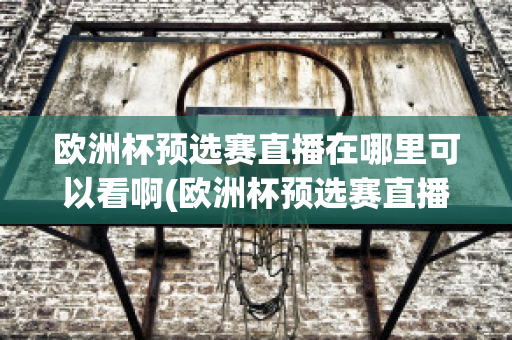 欧洲杯预选赛直播在哪里可以看啊(欧洲杯预选赛直播在哪里可以看啊英文)