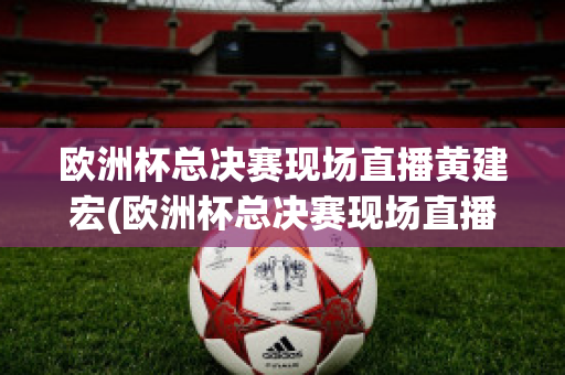 欧洲杯总决赛现场直播黄建宏(欧洲杯总决赛现场直播黄建宏回放)