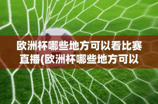 欧洲杯哪些地方可以看比赛直播(欧洲杯哪些地方可以看比赛直播回放)