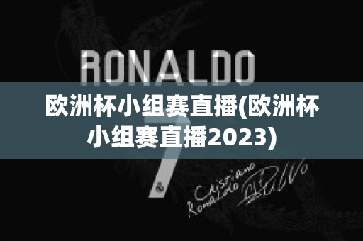 欧洲杯小组赛直播(欧洲杯小组赛直播2023)