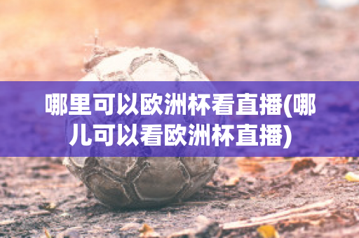 哪里可以欧洲杯看直播(哪儿可以看欧洲杯直播)