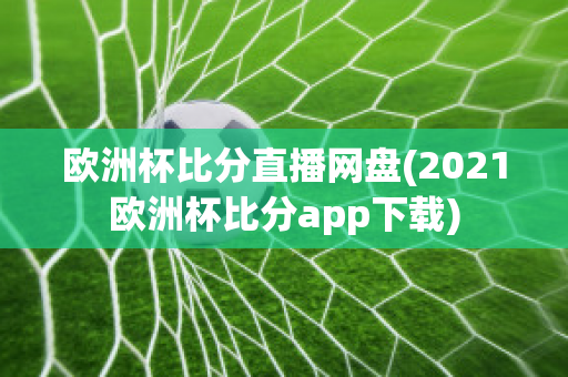 欧洲杯比分直播网盘(2021欧洲杯比分app下载)