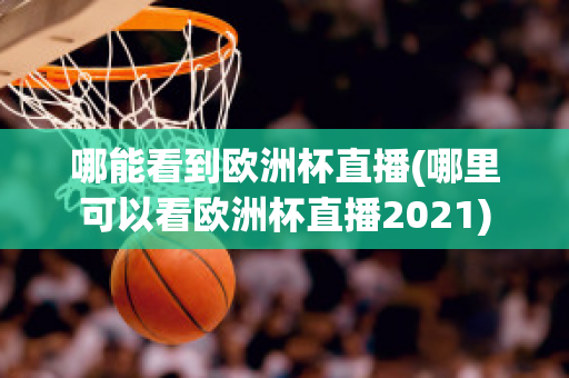 哪能看到欧洲杯直播(哪里可以看欧洲杯直播2021)