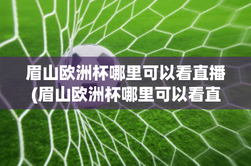 眉山欧洲杯哪里可以看直播(眉山欧洲杯哪里可以看直播回放)