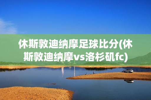 休斯敦迪纳摩足球比分(休斯敦迪纳摩vs洛杉矶fc)