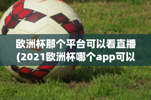 欧洲杯那个平台可以看直播(2021欧洲杯哪个app可以看直播)