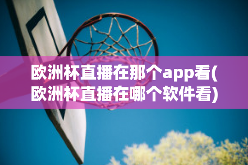 欧洲杯直播在那个app看(欧洲杯直播在哪个软件看)