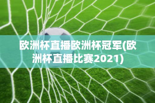 欧洲杯直播欧洲杯冠军(欧洲杯直播比赛2021)