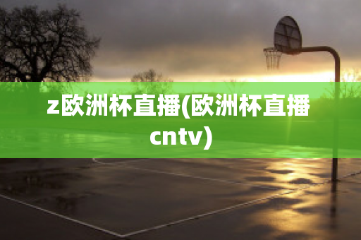 z欧洲杯直播(欧洲杯直播 cntv)