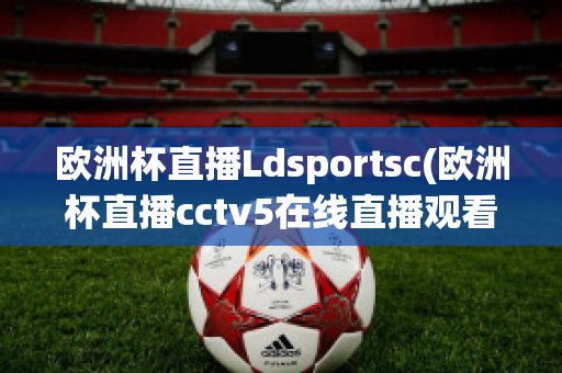 欧洲杯直播Ldsportsc(欧洲杯直播cctv5在线直播观看)