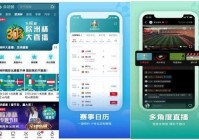 看欧洲杯直播用什么:看欧洲杯直播用什么app