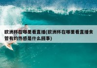 怎么看央视欧洲杯直播:怎么看央视欧洲杯直播回放