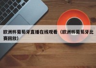 乌龟视频欧洲杯直播:乌龟视频欧洲杯直播在线观看