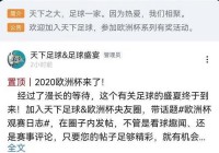 有哪些软件可以现场直播欧洲杯:有哪些软件可以现场直播欧洲杯比赛