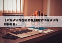 视频直播欧洲杯app:下载一个欧洲杯直播平台