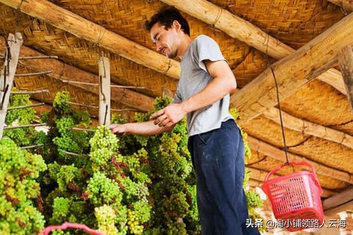 海外欧洲杯如何直播带货:海外欧洲杯在哪看