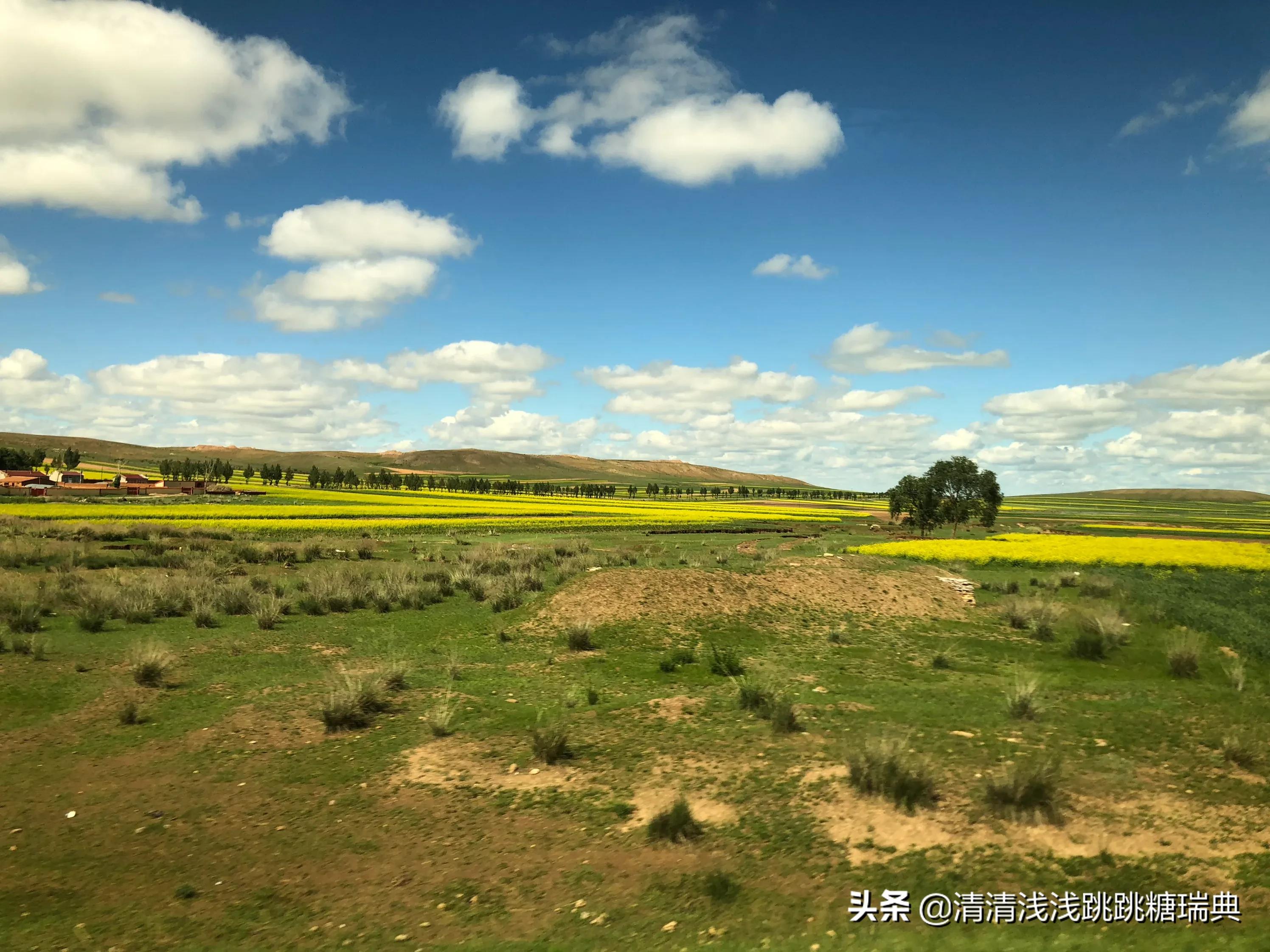 景洪哪里可以看欧洲杯直播:景洪哪里可以看欧洲杯直播的