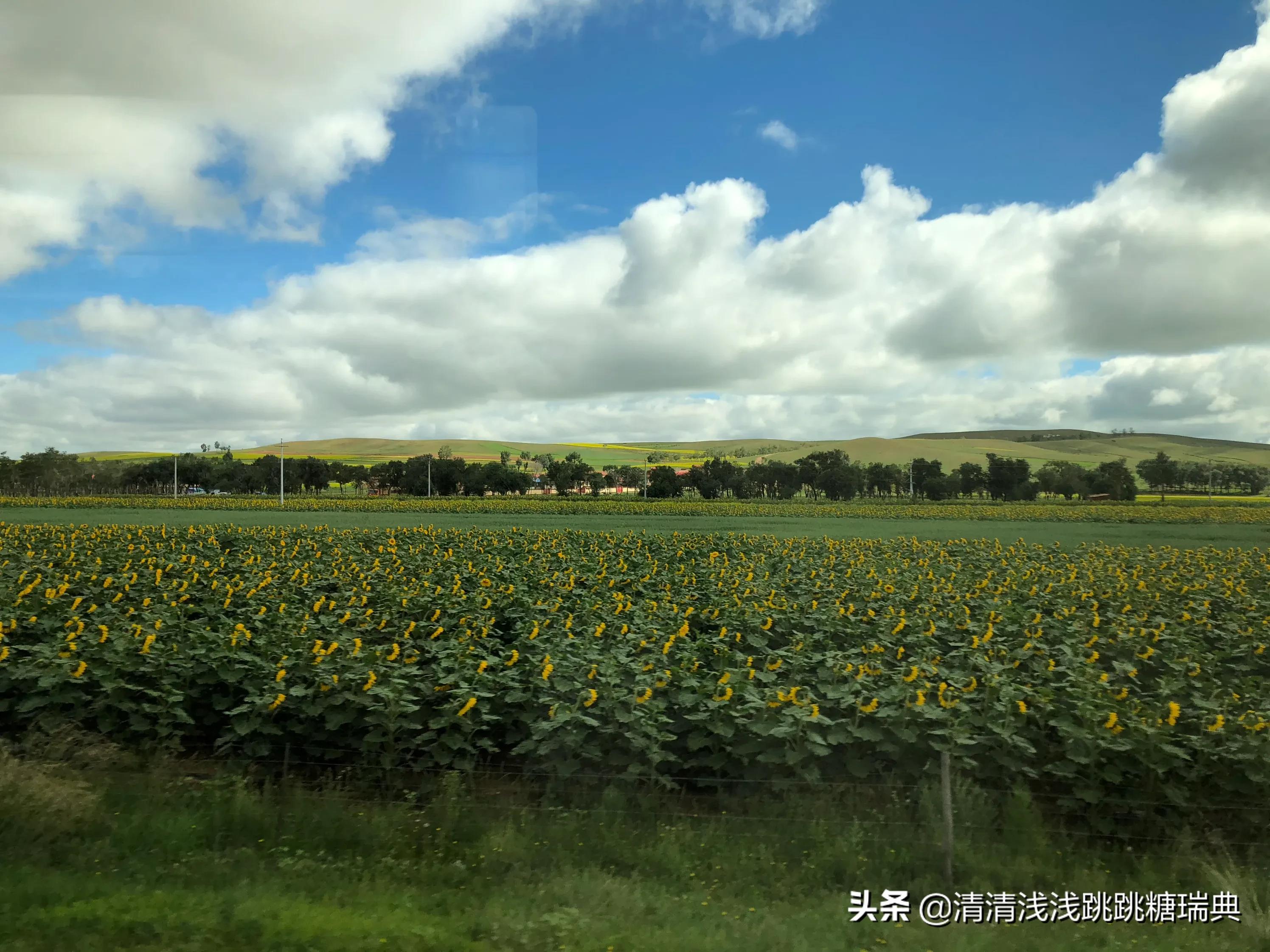 景洪哪里可以看欧洲杯直播:景洪哪里可以看欧洲杯直播的