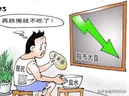 探球网欧洲杯直播在哪看:探球网欧洲杯直播在哪看啊