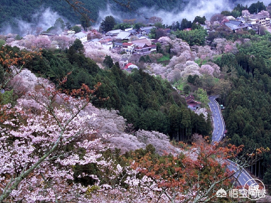 眉山哪里看欧洲杯直播:眉山哪里看欧洲杯直播的