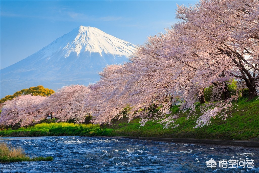 眉山哪里看欧洲杯直播:眉山哪里看欧洲杯直播的