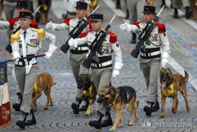 欧洲杯直播越南国庆:欧洲杯直播越南国庆回放