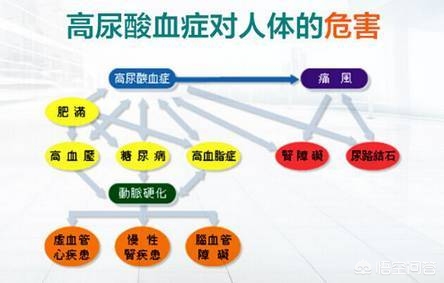 百事通直播欧洲杯: