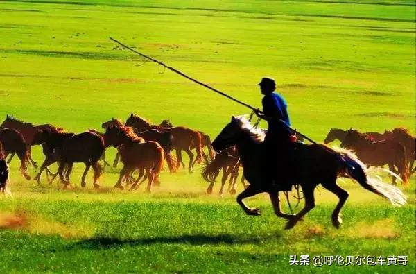 锡林浩特欧洲杯直播:图片不能双指放大