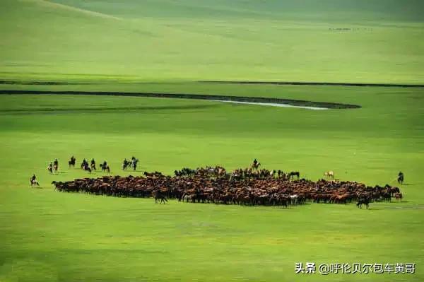 锡林浩特欧洲杯直播:图片不能双指放大