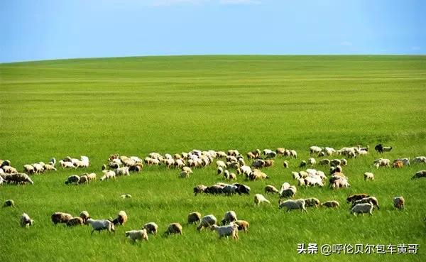 锡林浩特欧洲杯直播:图片不能双指放大