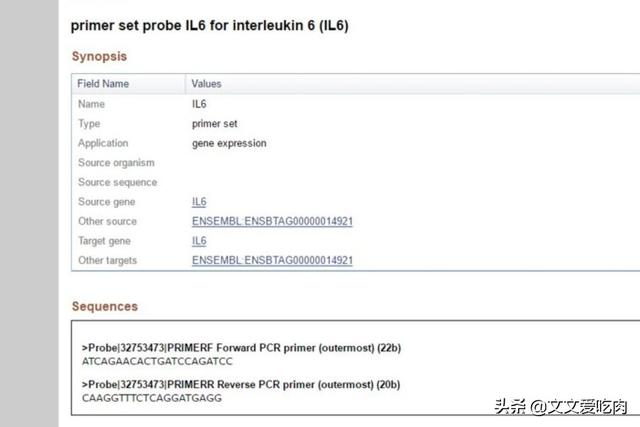 欧洲杯相关直播数据库:欧洲杯相关直播数据库下载