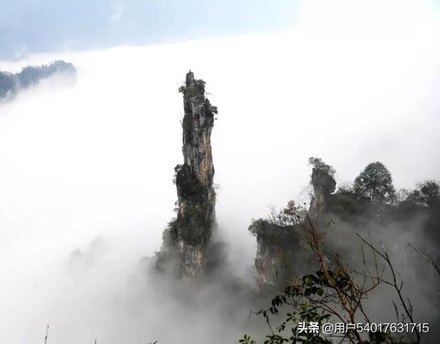 欧洲杯上船视频直播:欧洲杯上船视频直播在线观看