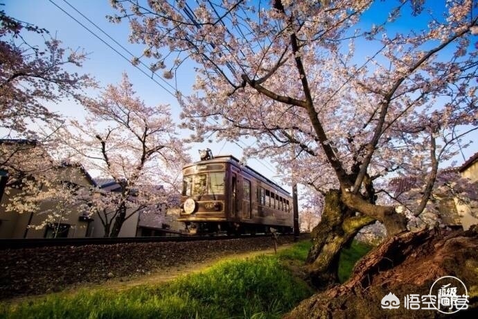 眉山哪里看欧洲杯直播好:眉山哪里看欧洲杯直播好点