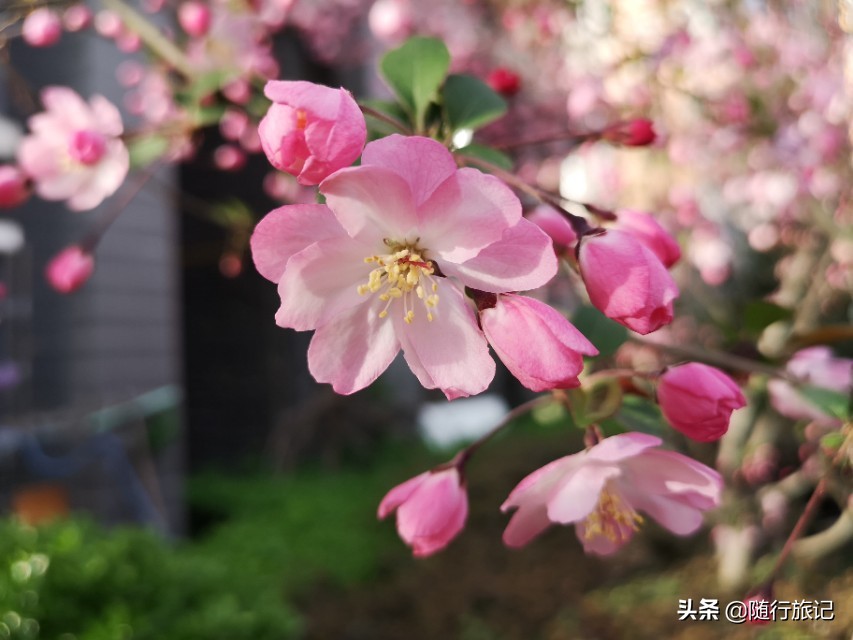 青州欧洲杯直播平台电话:青州欧洲杯直播平台电话号码