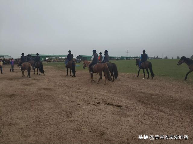 锡盟欧洲杯直播:鸾蝶的意思