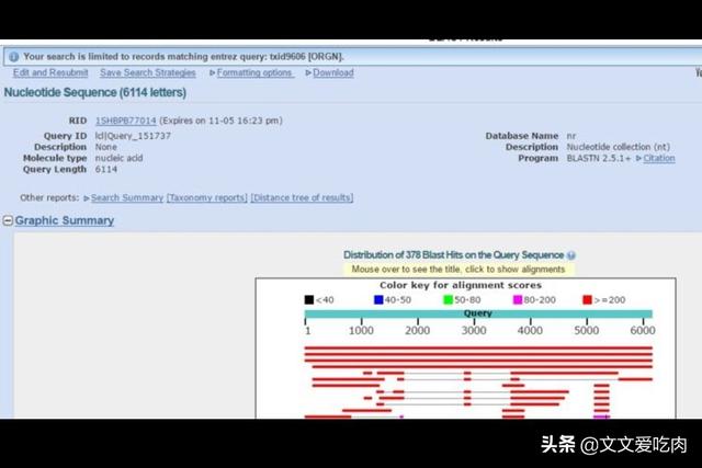 欧洲杯相关直播数据库建设:欧洲杯2021直播平台有哪些