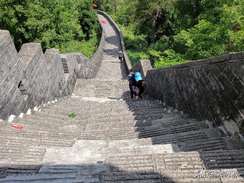 惠州欧洲杯直播平台在哪里:惠州欧洲杯直播平台在哪里看